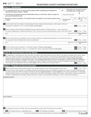 cra charity return|registered charity information return 2022.